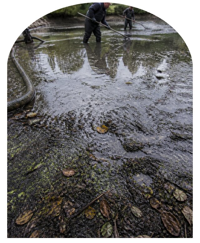 Очистка пруда в Острогожске от ила мусора и водорослей с вывозом